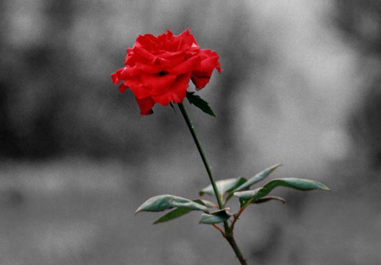 Abdest nasıl alınır Abdest alma yöntemleri