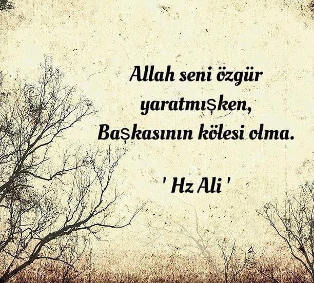 Abdestin manası, maddî ve manevî hikmetleri