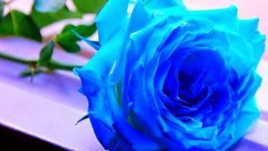 Adet gören ve lohusa olan kadınlar neleri yapamazlar