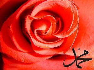 Guslün adabı ve kısımları