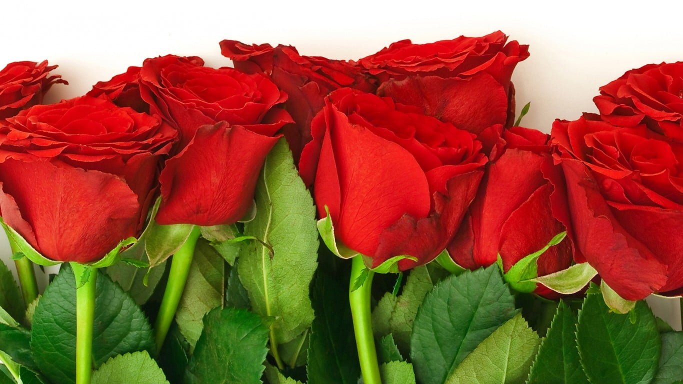 Meshin müddeti ne kadardır Mest üzerine mesh nasıl yapılır