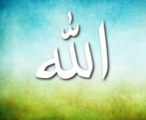 Temizlemek için kaynar suya atılan tavuk temiz olur mu