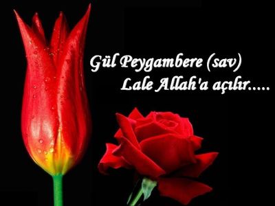 Çorabın üzerine mesh edilir mi?