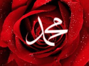 Örgülü saç yıkanır mı