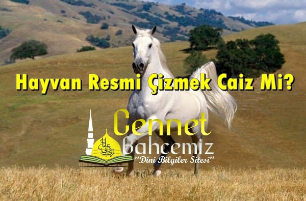 İslami Açıdan Hayvan Resmi Çizmek Caiz Midir?