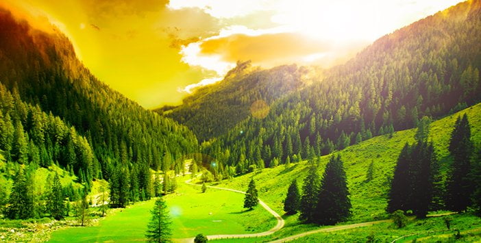 Cennet İle İlgili Hadisler