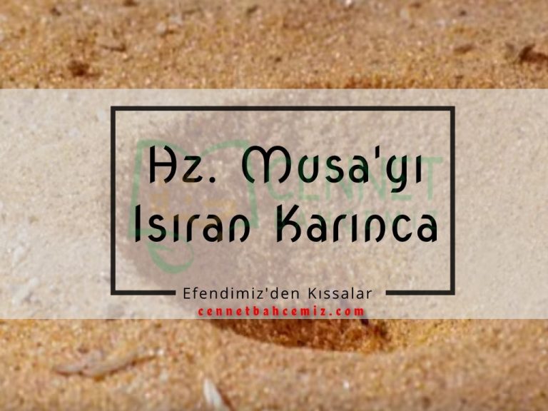 Efendimiz’den Kıssalar – Hz. Musa’yı Isıran Karınca
