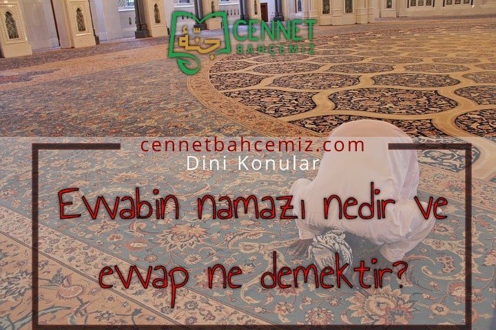 Evvabin namazı nedir ve evvap ne demektir?